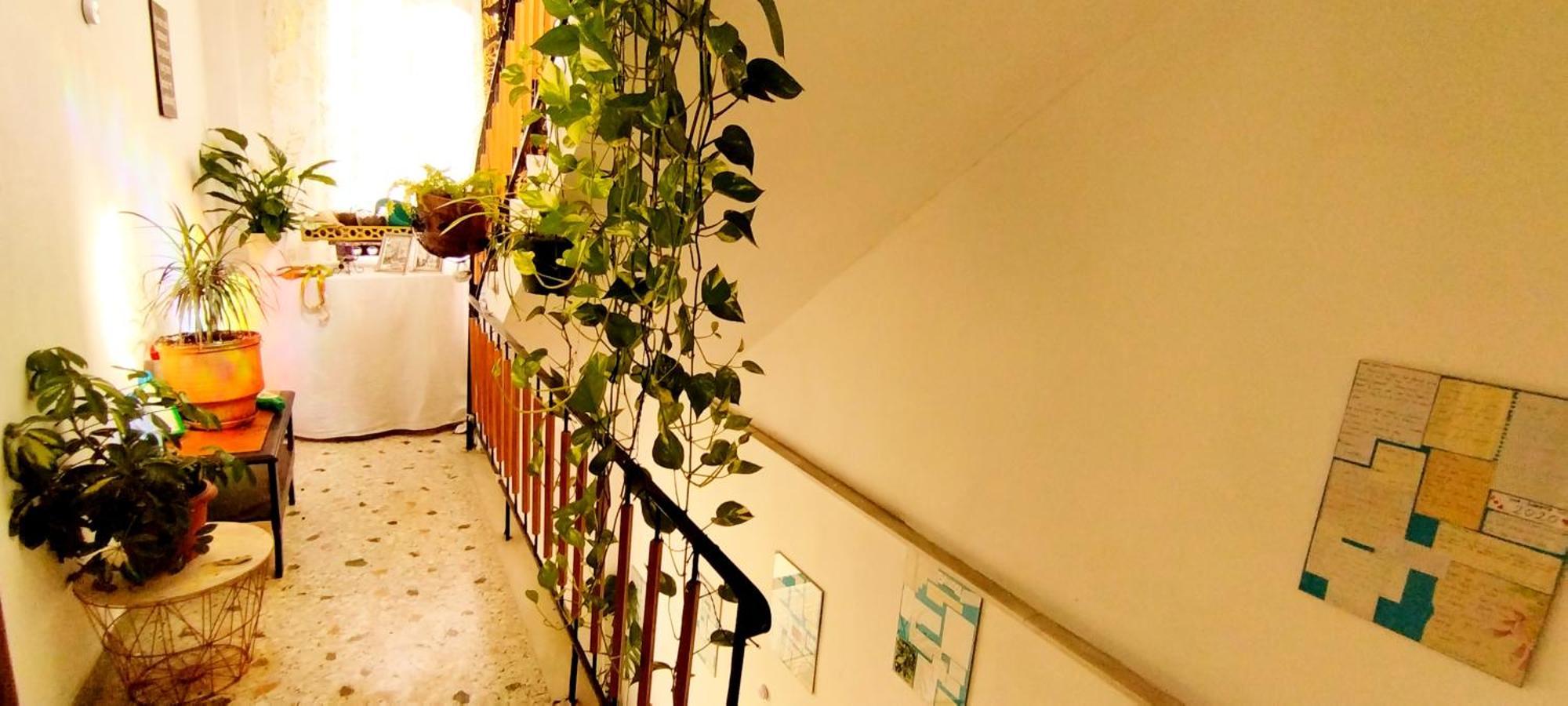 Cozy Room In Quiet Neighbourhood Athens Ngoại thất bức ảnh