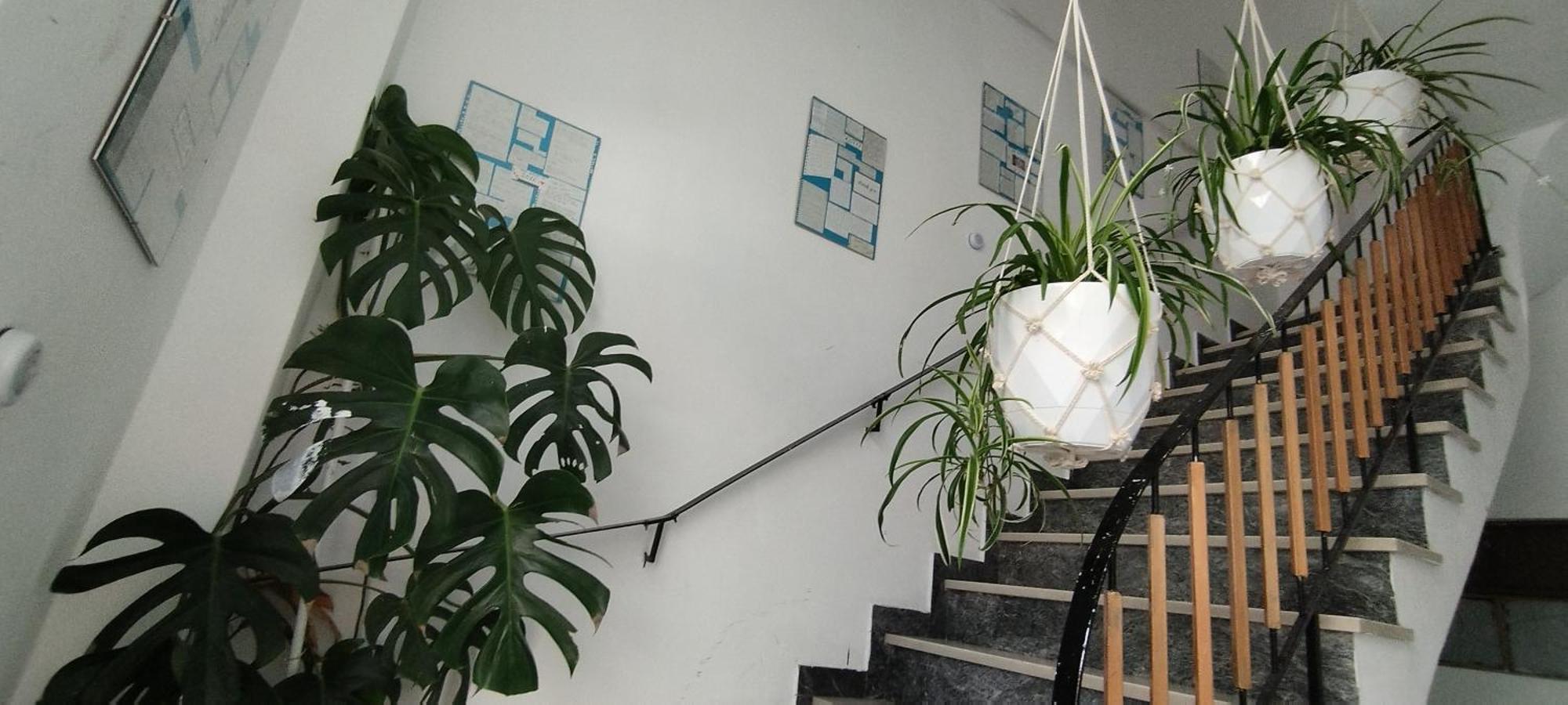 Cozy Room In Quiet Neighbourhood Athens Ngoại thất bức ảnh