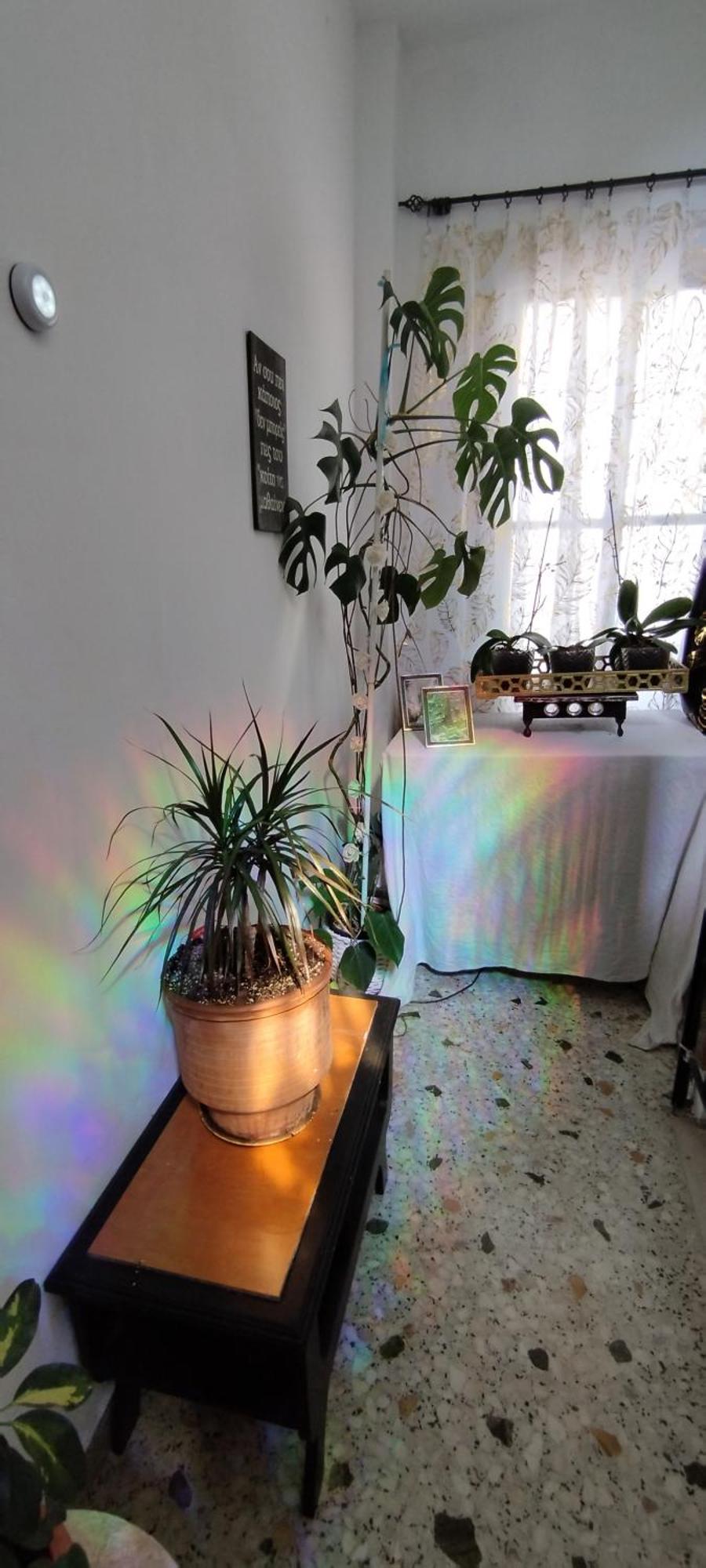 Cozy Room In Quiet Neighbourhood Athens Ngoại thất bức ảnh